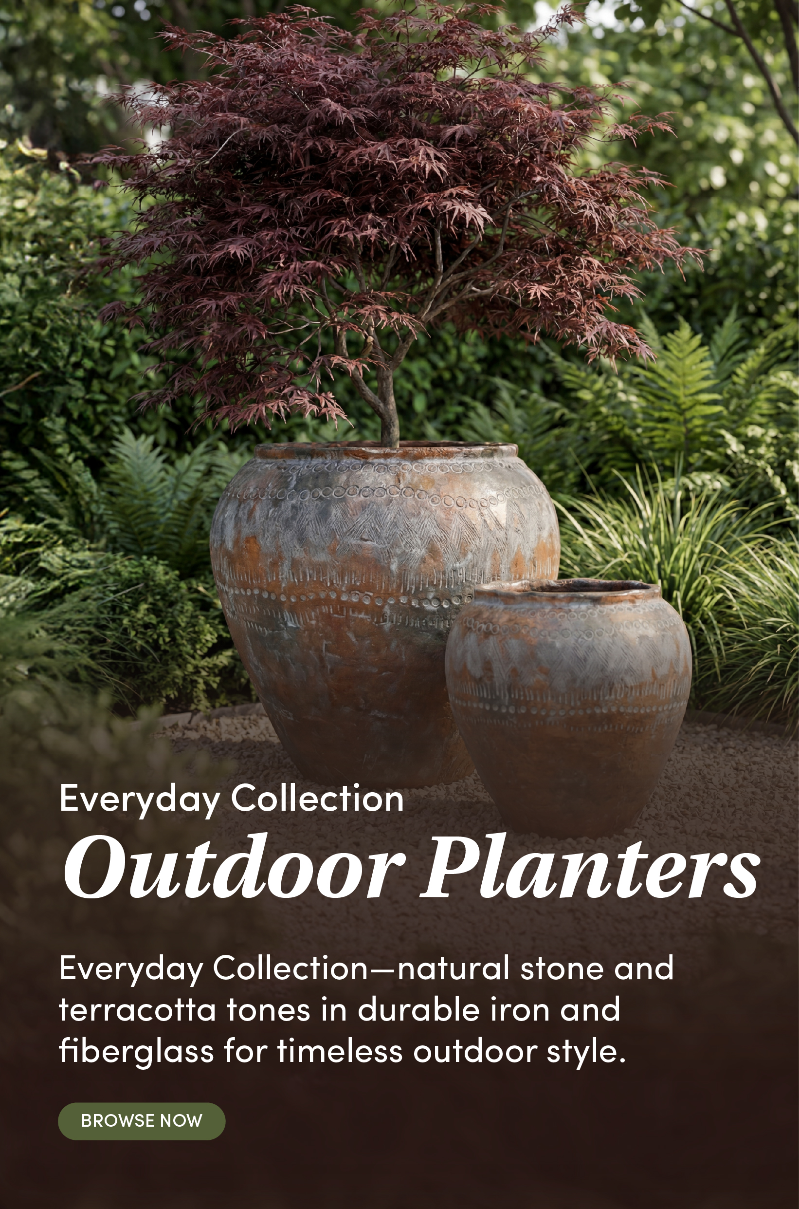 Collection Banner Mobile